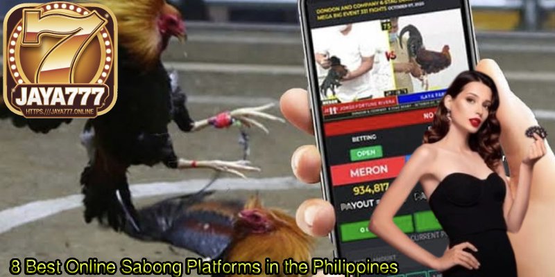 8-Best-Online-Sabong-Platforms-in-the-Philippines